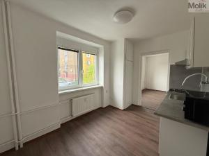 Prodej bytu 3+1, Litvínov - Chudeřín, Horská, 58 m2