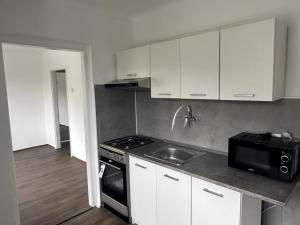Prodej bytu 3+1, Litvínov - Chudeřín, Horská, 58 m2