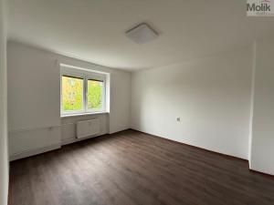 Prodej bytu 3+1, Litvínov - Chudeřín, Horská, 58 m2