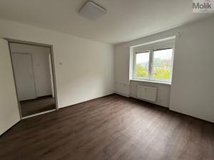 Prodej bytu 3+1, Litvínov - Chudeřín, Horská, 58 m2