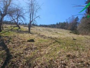 Prodej komerčního pozemku, Dlouhý Újezd, 3343 m2