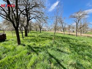 Prodej chalupy, Budíškovice - Vesce, 104 m2