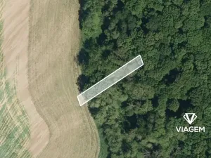 Prodej lesa, Uherský Brod, 404 m2