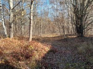 Prodej zemědělské usedlosti, Kájov, 190 m2