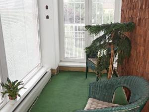 Prodej rodinného domu, Prostějov, Sportovní, 290 m2
