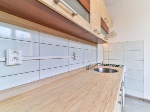 Pronájem bytu 1+1, Habartov, Raisova, 35 m2