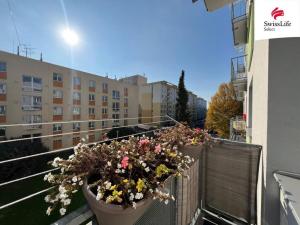 Prodej bytu 3+1, Trutnov, Chodská, 62 m2