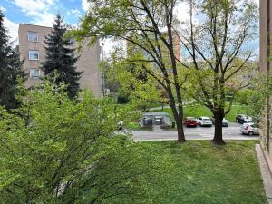 Pronájem bytu 2+1, Praha - Žižkov, Spojovací, 60 m2