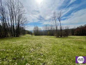 Prodej pozemku pro bydlení, Velké Hamry, 1401 m2