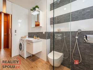 Pronájem bytu 2+kk, Praha - Libeň, Matějkova, 50 m2