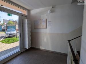 Prodej bytu 2+1, Teplice - Trnovany, U Vlastního krbu, 61 m2