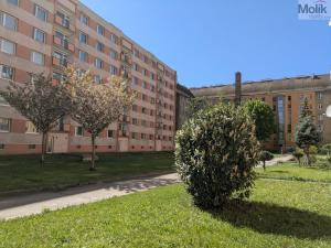 Prodej bytu 2+1, Teplice - Trnovany, U Vlastního krbu, 61 m2