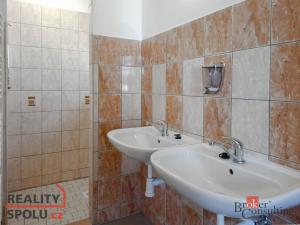 Pronájem obchodního prostoru, Opava - Předměstí, 337 m2
