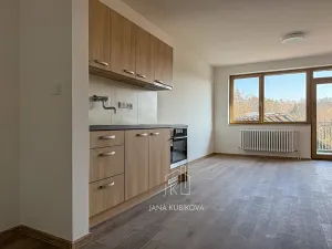 Pronájem bytu 1+kk, Osvětimany, 45 m2