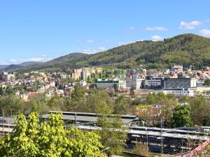 Prodej bytu 1+1, Karlovy Vary, Buchenwaldská, 36 m2