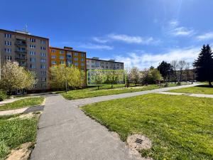 Prodej bytu 1+1, Karlovy Vary, Buchenwaldská, 36 m2