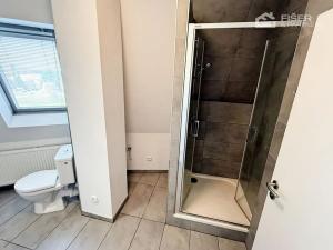 Pronájem bytu 1+kk, Valašské Meziříčí, Křižná, 30 m2