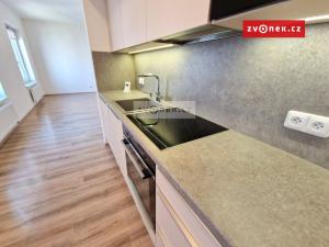 Pronájem bytu 2+kk, Brno - Trnitá, Křenová, 67 m2