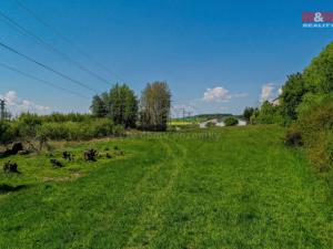 Pronájem louky, Dýšina, 4754 m2