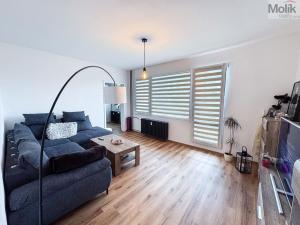 Prodej bytu 3+1, Ústí nad Labem - Krásné Březno, V Oblouku, 74 m2