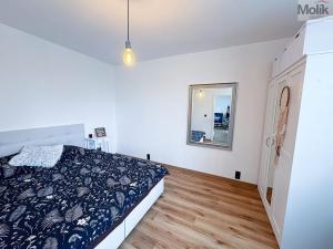 Prodej bytu 3+1, Ústí nad Labem - Krásné Březno, V Oblouku, 74 m2
