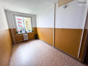 Prodej bytu 3+1, Ústí nad Labem - Krásné Březno, V Oblouku, 74 m2