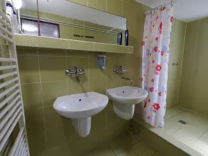 Prodej rodinného domu, Bánov, 315 m2