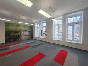 Pronájem obchodního prostoru, Praha - Radlice, Radlická, 511 m2