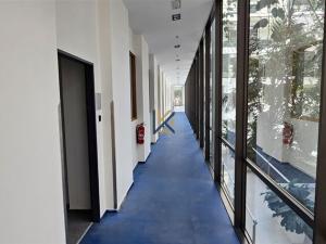 Pronájem obchodního prostoru, Praha - Radlice, Radlická, 511 m2