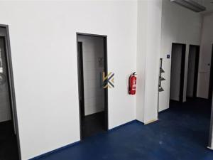 Pronájem obchodního prostoru, Praha - Radlice, Radlická, 511 m2