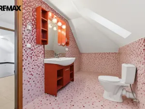 Prodej rodinného domu, Jenišov - Pod Rohem, K Rohu, 210 m2