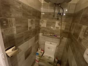 Pronájem bytu 3+kk, Brno, Svitavská, 50 m2
