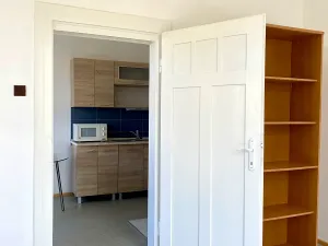 Pronájem bytu 2+1, Havlíčkův Brod, P. F. Ledvinky, 54 m2