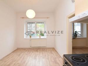 Pronájem bytu 1+1, České Budějovice, Dobrovodská, 37 m2