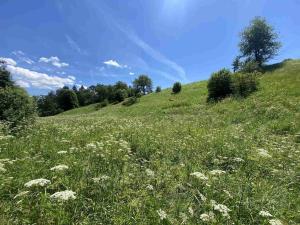 Prodej pozemku, Hartmanice, 9140 m2