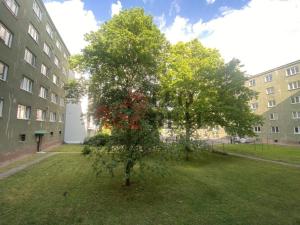 Prodej bytu 2+1, Praha - Vinohrady, Pod Rapidem, 45 m2