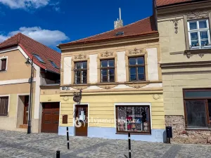Prodej rodinného domu, Znojmo, Horní Česká, 300 m2