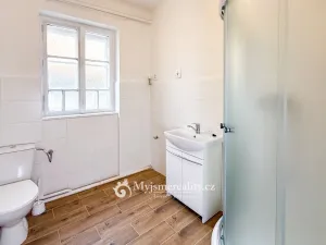 Prodej rodinného domu, Znojmo, Horní Česká, 300 m2