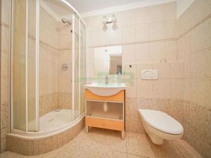 Pronájem bytu 1+1, Praha - Staré Město, Dlouhá, 70 m2