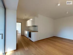 Pronájem bytu 1+kk, Bohutín - Vysoká Pec, 36 m2