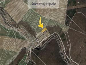 Prodej pozemku, Ždánice, 4501 m2