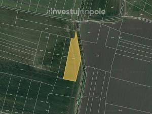 Prodej pole, Sadská, 3181 m2