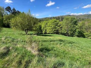 Prodej zahrady, Blansko - Klepačov, 10598 m2