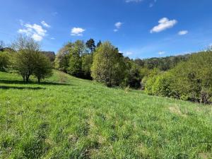 Prodej zahrady, Blansko - Klepačov, 10598 m2