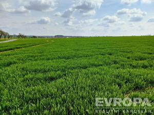 Prodej pole, Čistá, 27281 m2