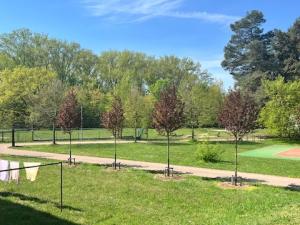 Pronájem bytu 2+1, Pardubice - Zelené Předměstí, Sokolovská, 61 m2