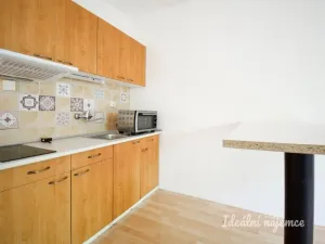 Pronájem bytu 1+kk, Brno - Líšeň, bratří Sapáků, 29 m2