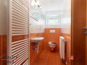 Pronájem bytu 1+1, Opava - Předměstí, Hobzíkova, 47 m2