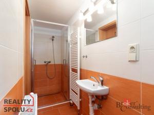 Pronájem bytu 1+1, Opava - Předměstí, Hobzíkova, 47 m2