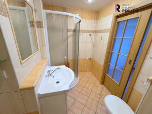 Pronájem bytu 3+kk, Ostrov, Krušnohorská, 53 m2